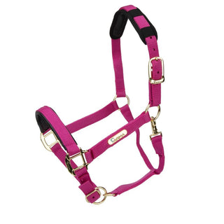 Shires Topaz Nylon Headcollar Raspberry