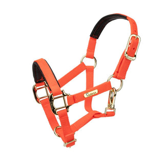 Shires Topaz Nylon Headcollar Orange
