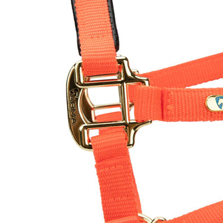 Shires Topaz Nylon Headcollar Orange