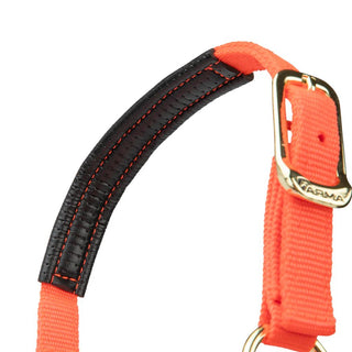 Shires Topaz Nylon Headcollar Orange