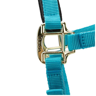 Shires Topaz Nylon Headcollar Blue