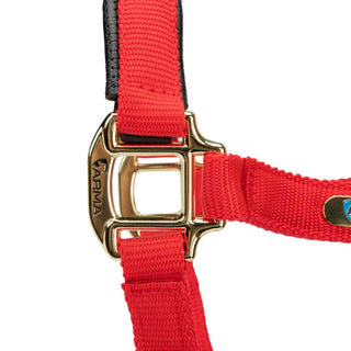Shires Topaz Nylon Headcollar Red