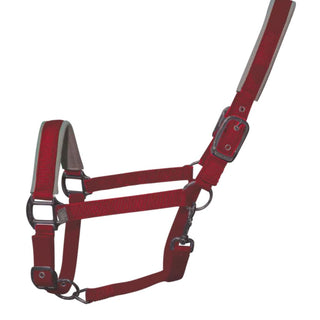 Woof Wear Contour Head Collar Shiraz