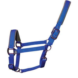 Woof Wear Contour Head Collar Electric Blue