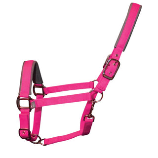 Woof Wear Contour Head Collar Berry