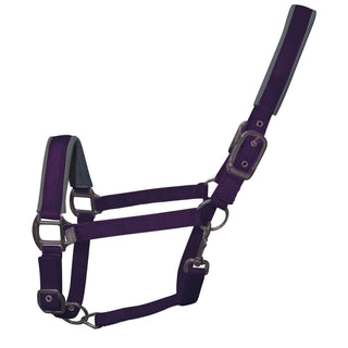 Woof Wear Contour Head Collar Damson