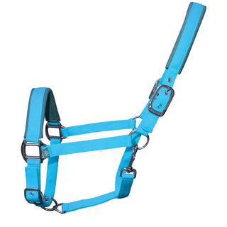 Woof Wear Contour Head Collar Turquoise