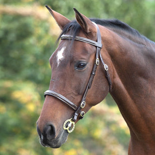 Velociti GARA Fancy Stitched Inhand Bridle