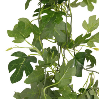 Habistat Hanging Vine Hyphosis