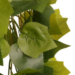 Habistat Hanging Vine Greenery Grape