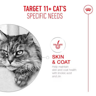 Royal Canin FHN Ageing 11+