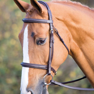 Salisbury Fairford Bridle