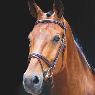 Salisbury Bodenham Bridle