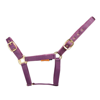 Cameo Suede Padded Headcollar