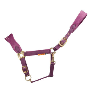 Cameo Suede Elite Headcollar and Leadrope