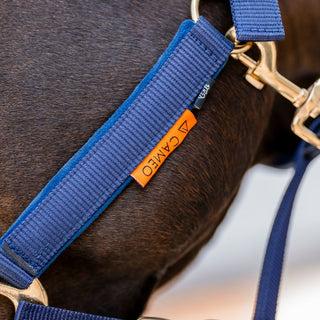 Cameo Suede Elite Headcollar and Leadrope