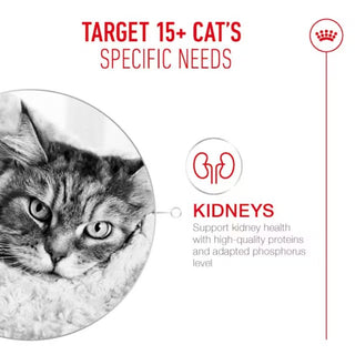 Royal Canin Wet FHN Ageing 15+ Chunks In Gravy 12 x 85g