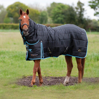 Trojan 300g Stable Combo Rug