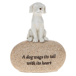 Angel Stones Dog