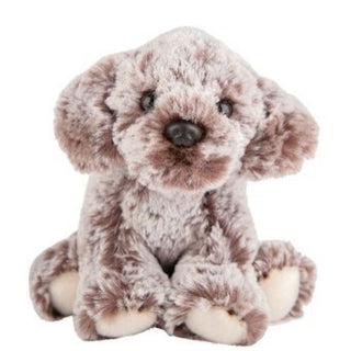 Suki Bear Cockerpoo
