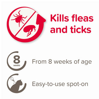 Beaphar FIPROtec® Spot-On for Cats