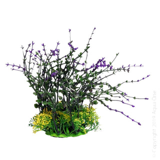 Aqua One Purple Bladderwort