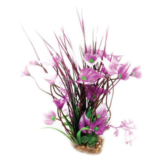 Aqua One Purple Villarsia/Hygrophila