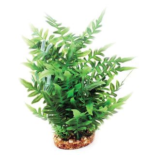 Aqua One Green Fern