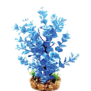 Aqua One Blue Ludwigia