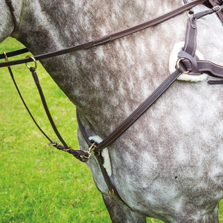 Salisbury Five Point Breastplate
