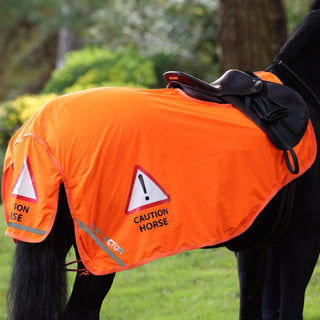 EQUI-FLECTOR Mesh Exercise Sheet