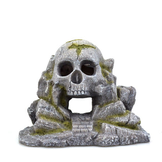 Skull Rock Cave