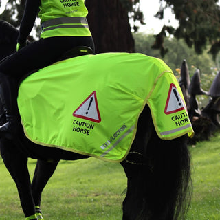 EQUI-FLECTOR Mesh Exercise Sheet
