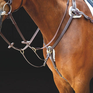 Salisbury Five Point Breastplate