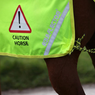 EQUI-FLECTOR Mesh Exercise Sheet