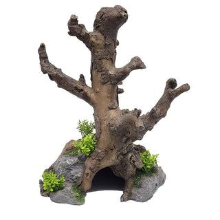 Hollow Base Tree Trunk