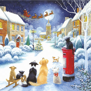 Christmas Traditional Boxed Cards Pets Christmas