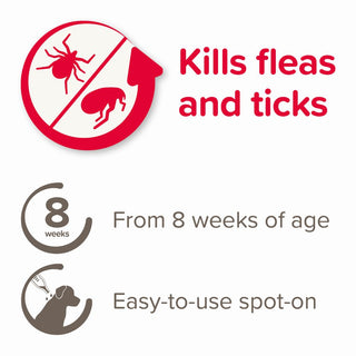 Beaphar FIPROtec® Spot-On for Large Dogs