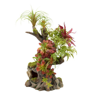 Natural Tropical Planted Stump Tall