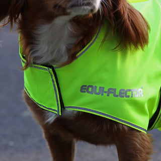 EQUI-FLECTOR Mesh Dog Coat