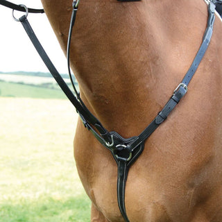 Salisbury Three Point Breastplate