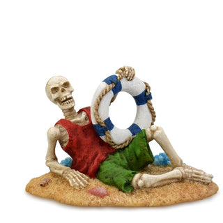 Skeleton Sailor On Beach