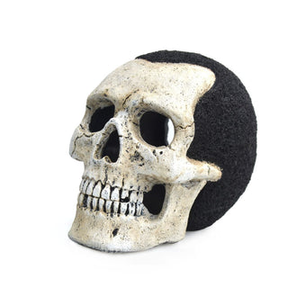 Black And White Skull
