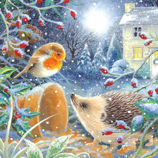 Christmas Traditional Boxed Cards Robin With Hedgehog