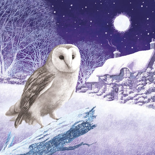 Christmas Traditional Boxed Cards Snowy Owl