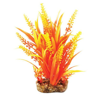 Aqua One Orange Caboma