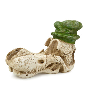 Dog Skull
