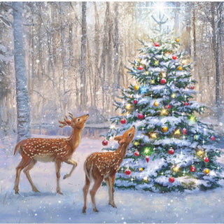 Christmas Traditional Boxed Cards Deer With Tree
