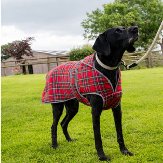 Ancol Highland Tartan Dog Coat