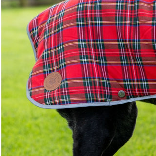 Ancol Highland Tartan Dog Coat